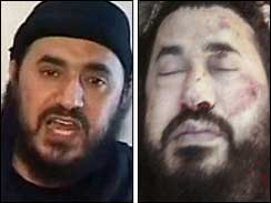 al-Zarqawi Alive and Dead