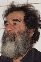 Saddam in custody